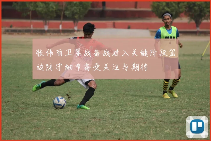 张伟丽卫冕战备战进入关键阶段笼边防守细节备受关注与期待